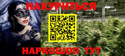 шишки Абакан