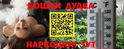 шишки Абакан
