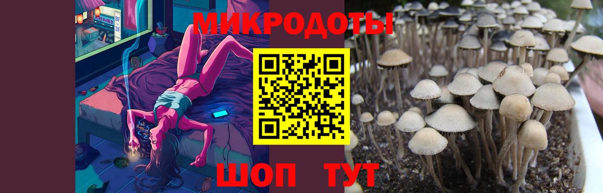 Псилоцибиновые грибы MAGIC MUSHROOMS  Вход с VPN  дарнет шоп  Анжеро-Судженск 
